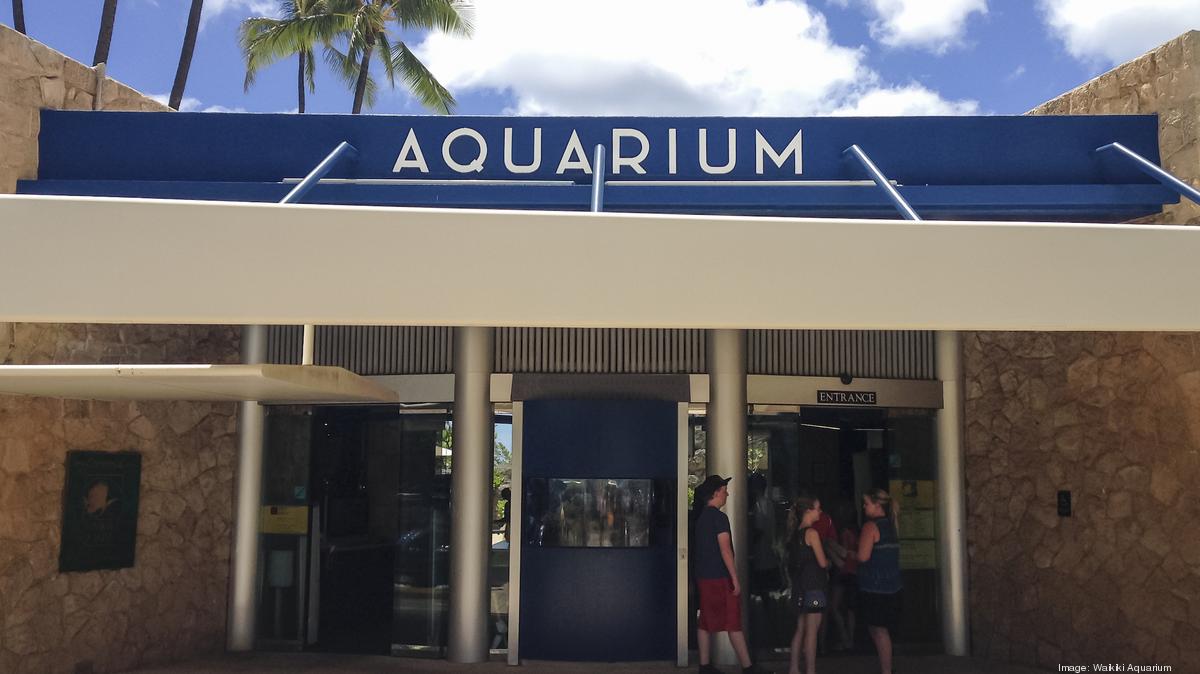 Waikiki Aquarium Announces Plans To Reopen At The End Of June - Pacific ...