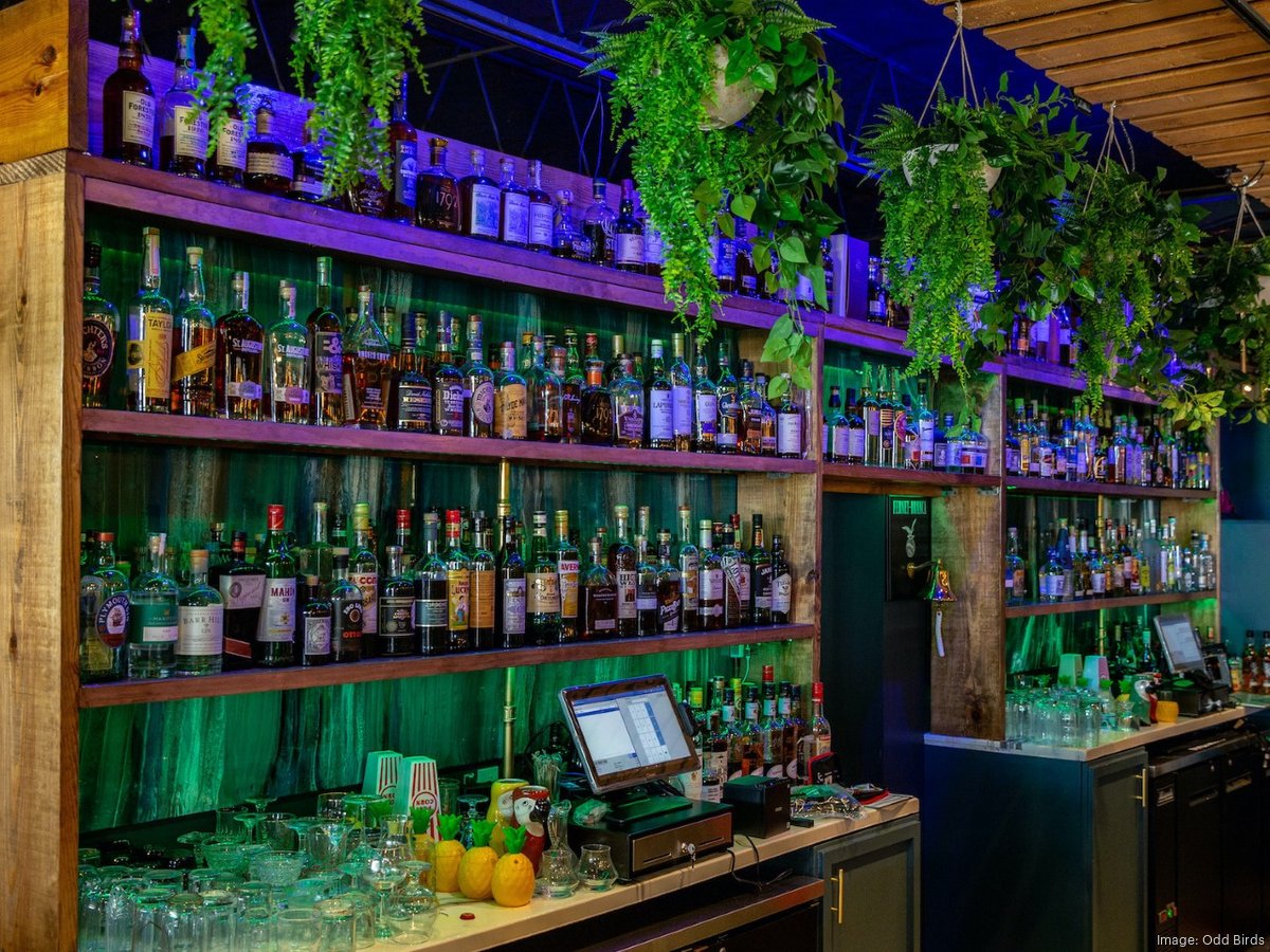 Popular St. Augustine establishment Odd Birds opens on Anastasia