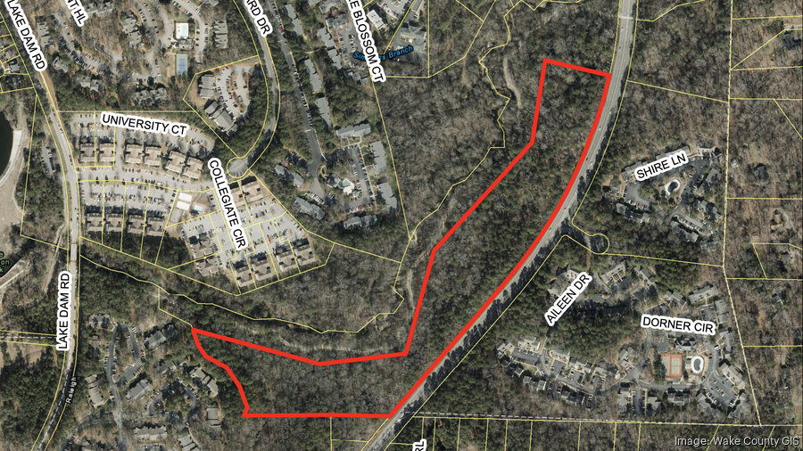 Plans could bring 175 new homes near Lake Johnson in Raleigh - Triangle ...