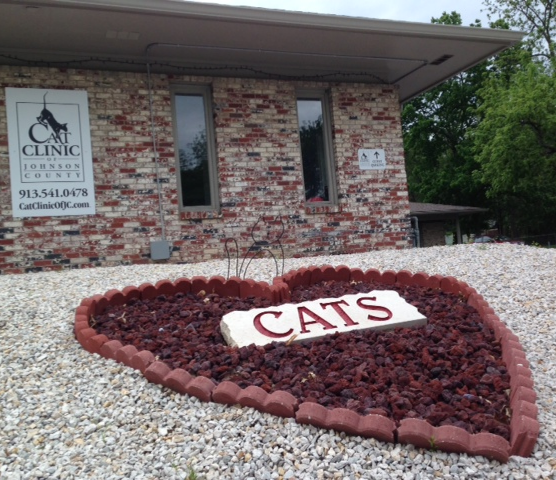 Cat Clinic Of Johnson County BizSpotlight Kansas City Business Journal