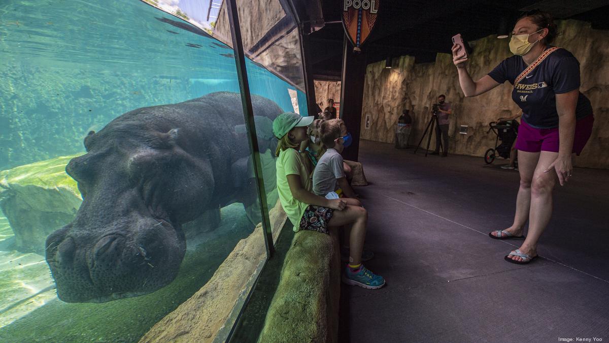 Milwaukee County Zoo sees 11.48 million revenue hole in 2020