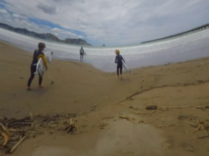 VR Screenshot nz beach surf pic