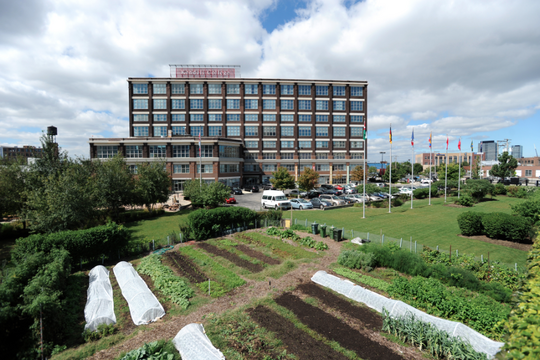 Chicago Inno - UChicago Med School Students Mix Clinical With Culinary