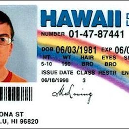 How Are Fake Id Websites Not Shutdown