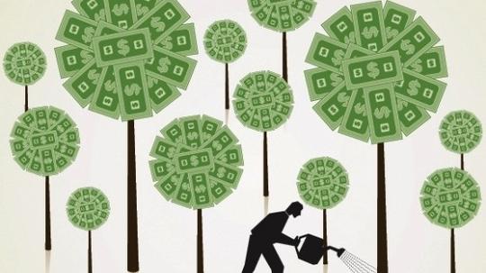 money-tree-growing-startup