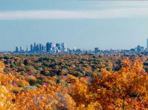 USA_Massachusetts_Boston_Foliage-by-rebecca-kennison-cc-by-25