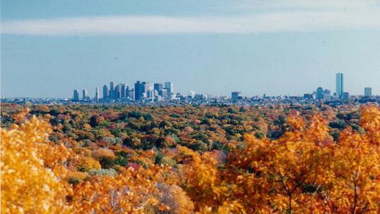 USA_Massachusetts_Boston_Foliage-by-rebecca-kennison-cc-by-25