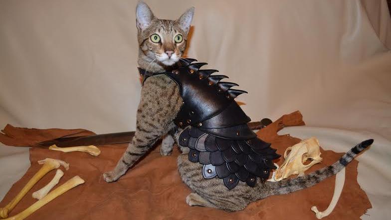 cat kevlar