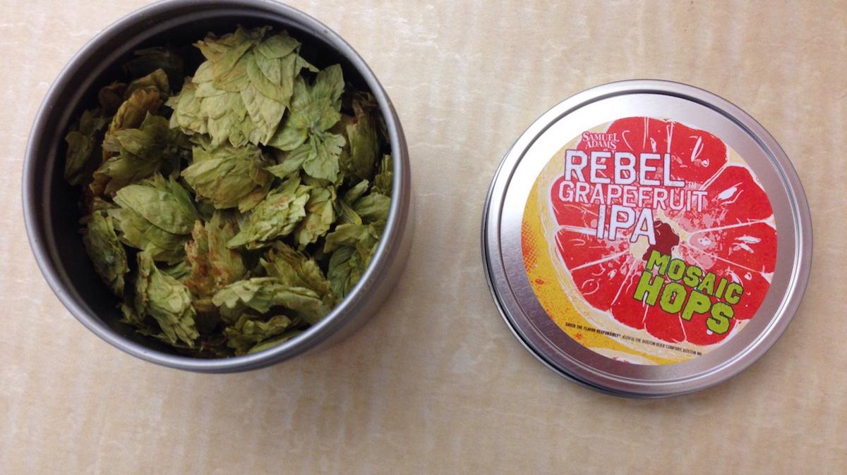 European Hops Shortage Effect on American Craft Breweries Boston