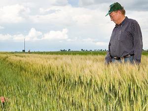 10050-agricultural-engineers-examining-a-wheat-field-pv