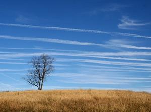 Grassland Countryside Midwest Prairie Meadow