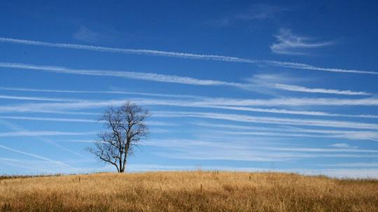 Grassland Countryside Midwest Prairie Meadow