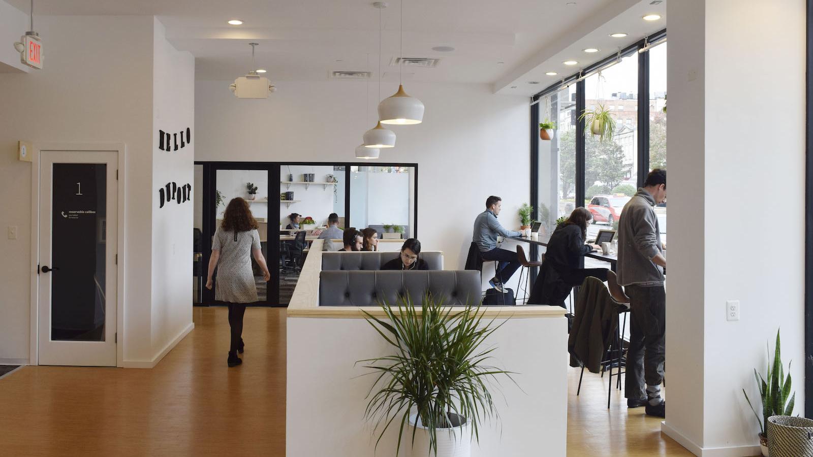 DC Inno - How .'s Cove Stretches the Definition of a Modern Coworking  Company