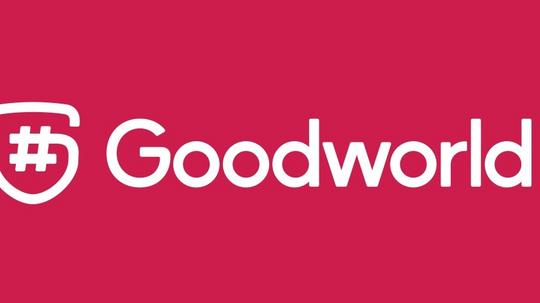 Goodworld Brand Book