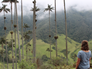 Valle de Cocora