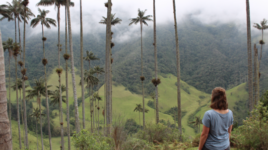 Valle de Cocora