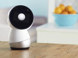 Jibo6