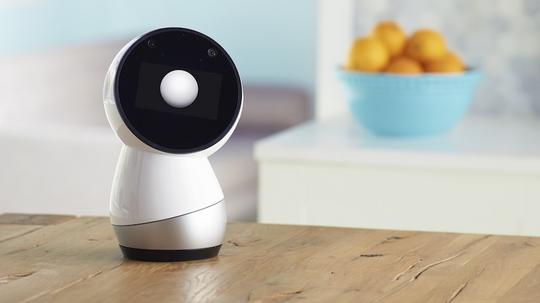 Jibo6