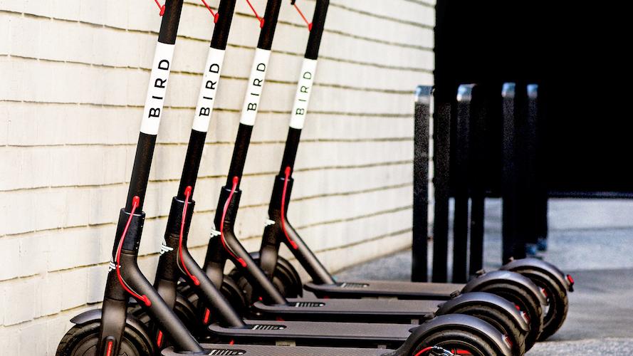 Chicago Inno Bird Is Testing Its Electric Scooters in Chicago At