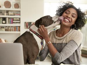 Dog licking face of female interior designer working at home office desk