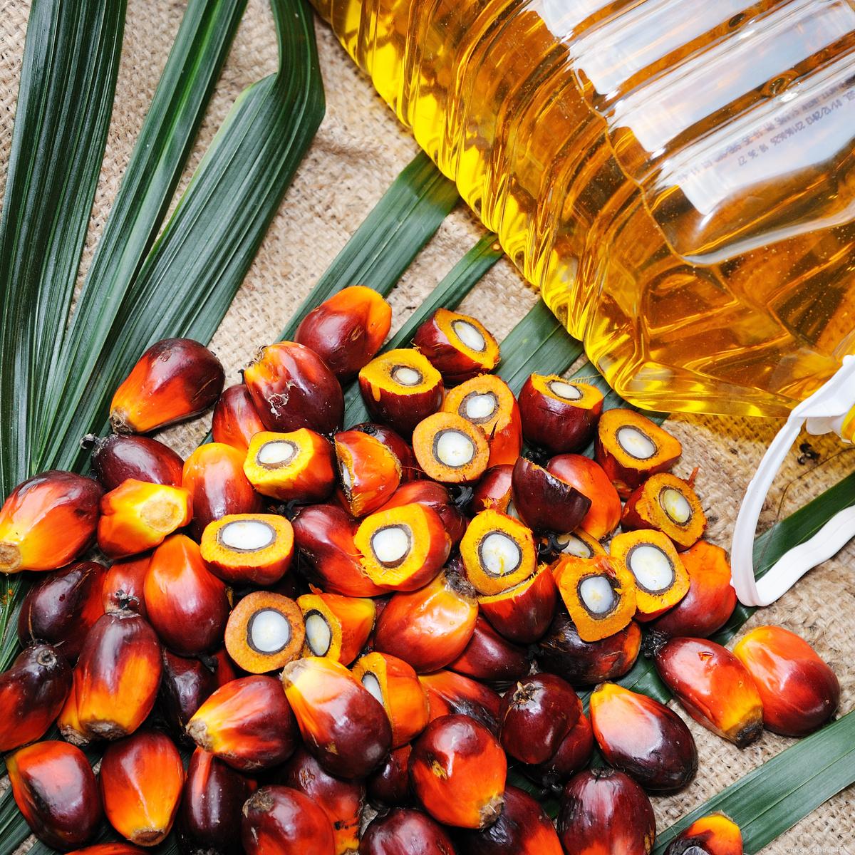 Пальмовое масло для салатов