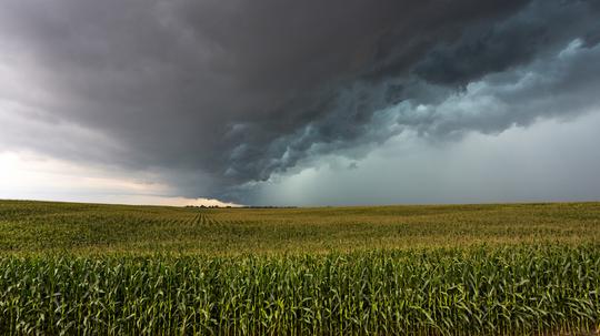 Kearney Squall Line I