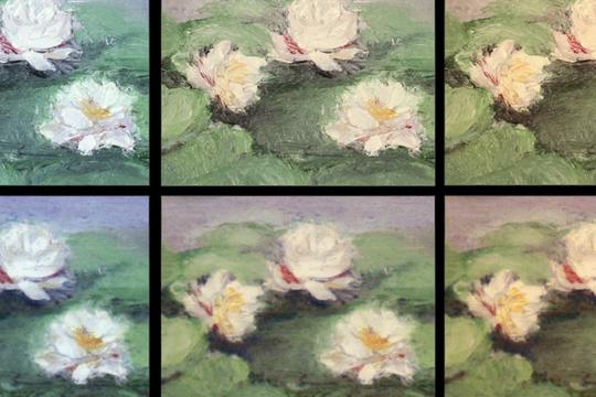 van gogh lotus