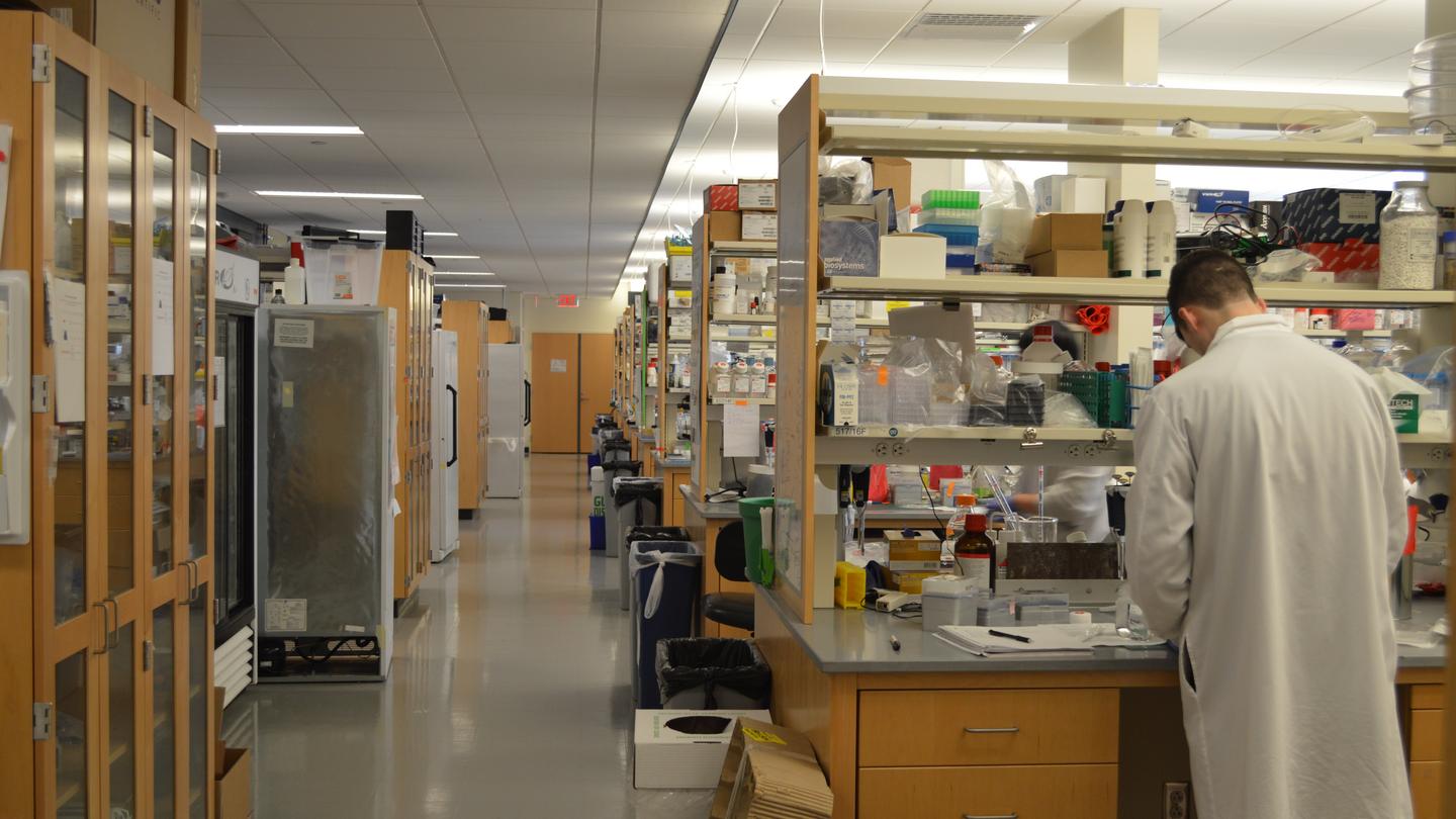 BostInno Office Envy Inside Harvard University's Wyss Institute