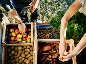 Urban Farmers Organising Crates Of Fruits And Vegetables On Truck