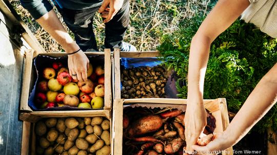 Urban Farmers Organising Crates Of Fruits And Vegetables On Truck