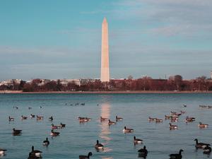 washington-dc-monument