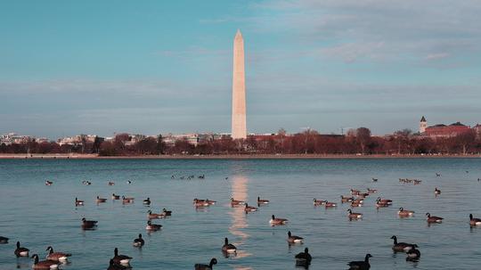 washington-dc-monument