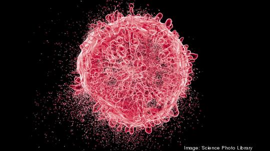 Destruction of leukaemia blood cell, illustration