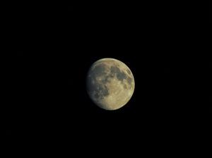 astronomy-dark-full-moon-142578