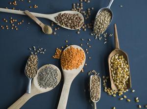 Red lentils, brown lentils, amarant, wheat, spelt wheat and corn on spoons