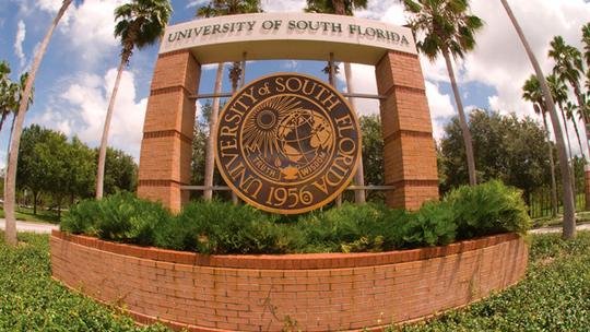 University of South Florida