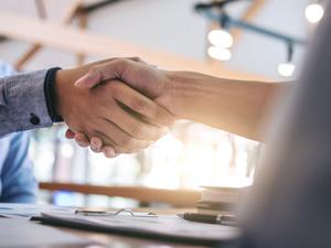 Cropped Image Of Business Colleagues Shaking Hands In Office