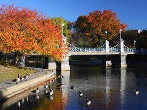 Boston Public Garden