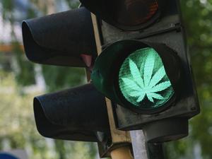 traffic light with Marijuana or cannabis sign