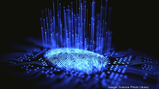 Digital fingerprint, conceptual illustration