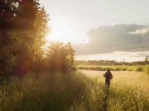 Hunter walking through meadow