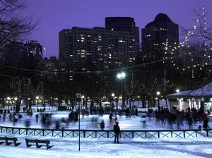 Ice Skating on Frog Pond