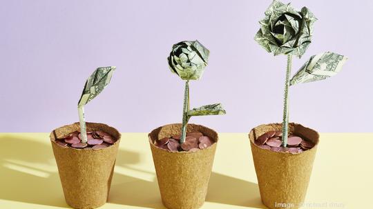 Three origami dollar flowers in a row