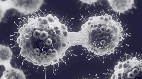 Cancer cell dividing, illustration