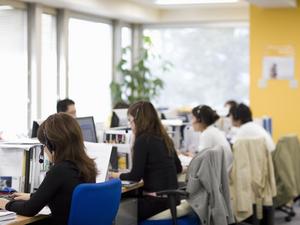 Office workers working in office