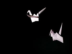 Paper Cranes Against Black Background