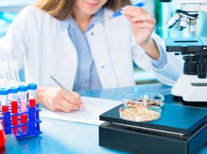 Selective and genetic work with seeds and grains in a scientific laboratory. Food quality control