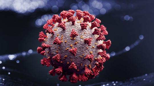 Corona virus