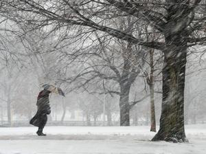 Snowstorm on Boston Common