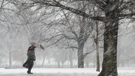 Snowstorm on Boston Common